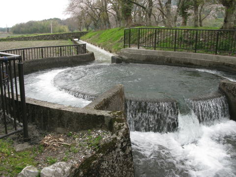 姉川水系、井之口円形分水