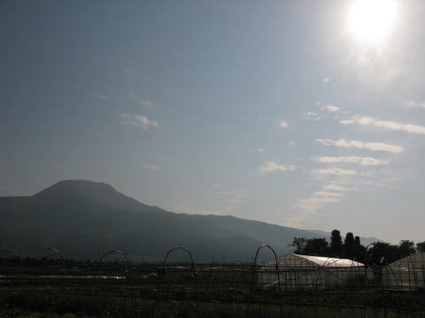 東の空、朝日